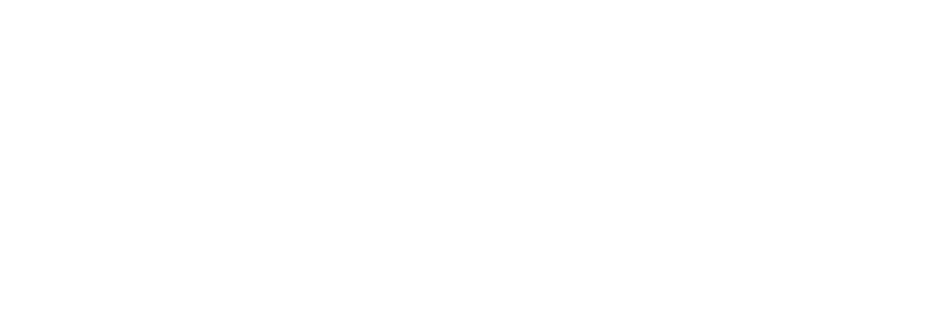 Austin Houser Wordmark, white